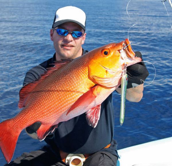 What Makes Cubera Snapper Charters in Los Sueños So Popular?