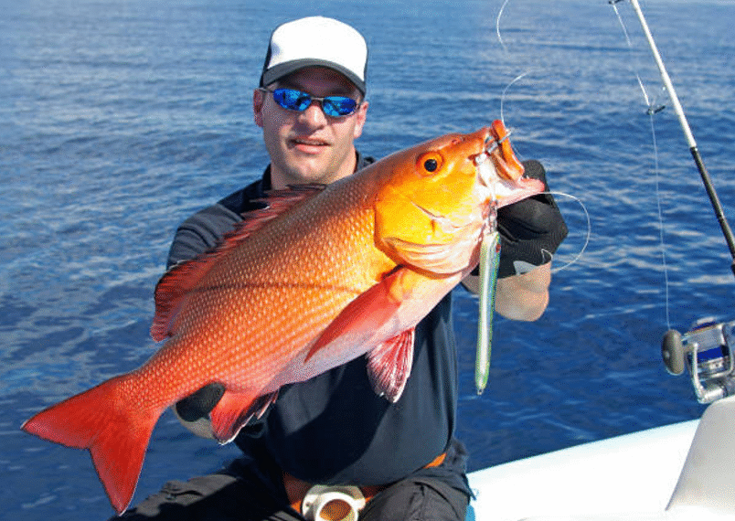 What Makes Cubera Snapper Charters in Los Sueños So Popular?