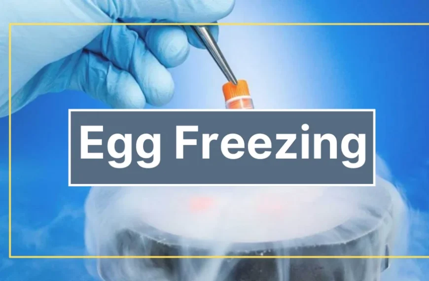What Is the Real Egg Freezing Cost at an IVF Center in Noida?