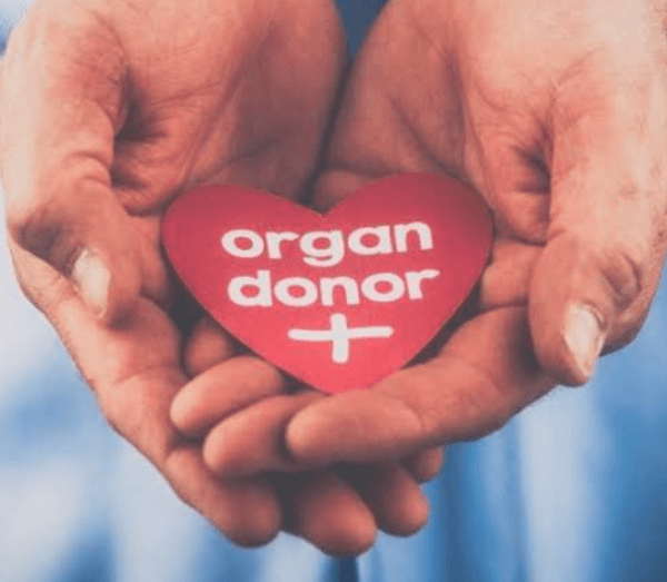Organ Donor vs. Whole Body Donation: What's the Difference?