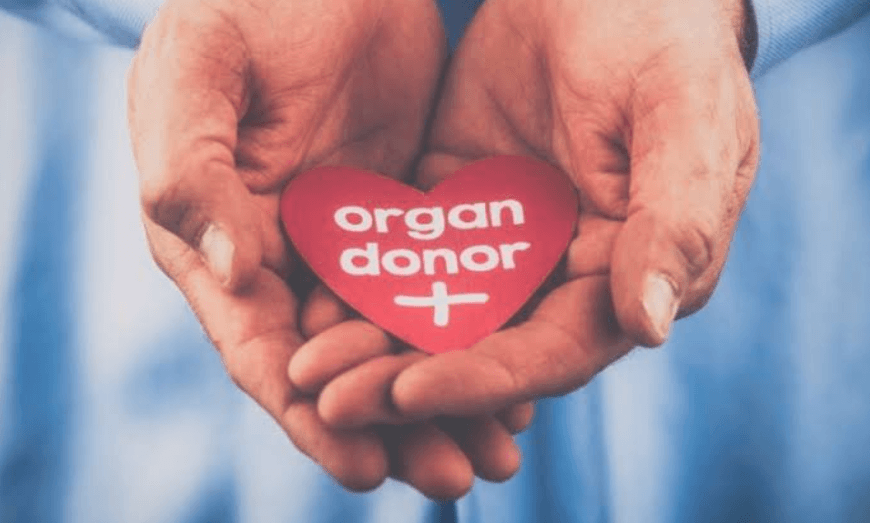 Organ Donor vs. Whole Body Donation: What's the Difference?