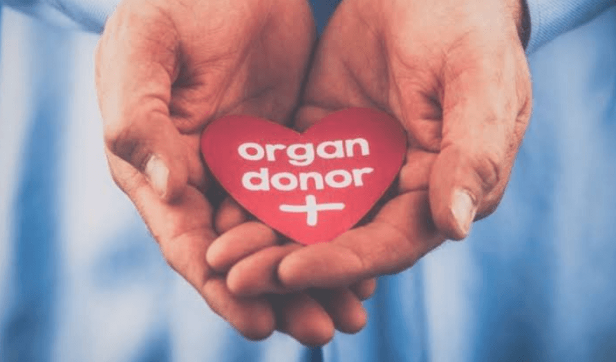 Organ Donor vs. Whole Body Donation: What's the Difference?