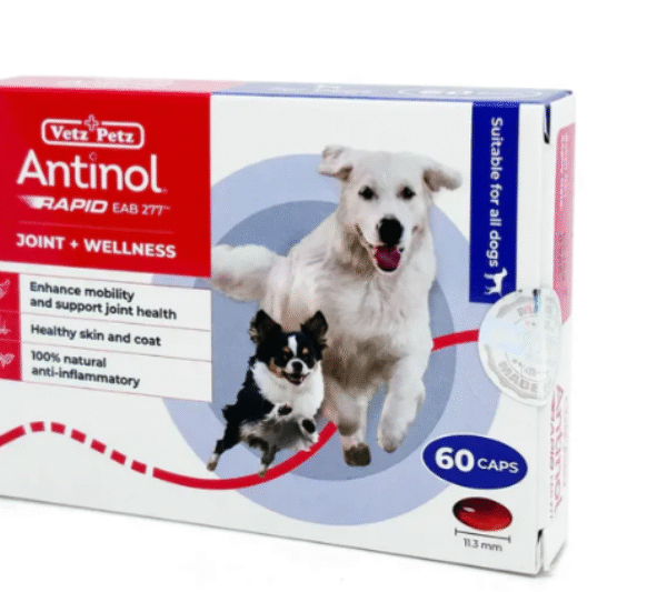 Making Mobility and Comfort More Pleasant in Our Domestic Pets