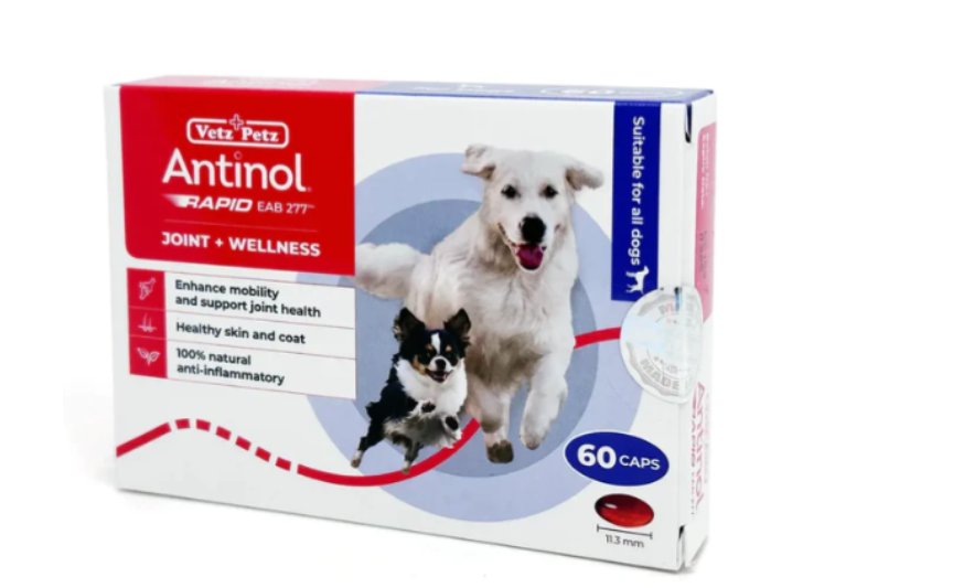 Making Mobility and Comfort More Pleasant in Our Domestic Pets